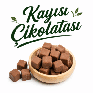 Kayısı Çikolatası